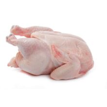 Freshly Killed Chicken Layer