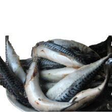 Titus Fish 1kg