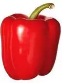Pepper - Red x3