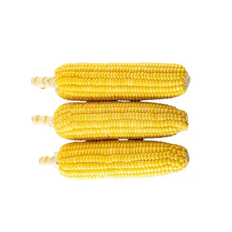 Sweet Corn x3