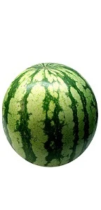 Watermelon - Large